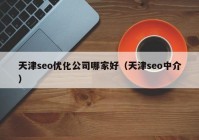 天津seo优化公司哪家好（天津seo中介）