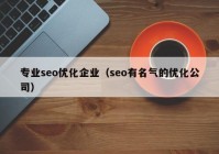 专业seo优化企业（seo有名气的优化公司）