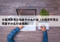 小程序开发公司属于什么行业（小程序开发公司属于什么行业类别）