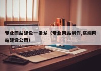 专业网站建设一条龙（专业网站制作,高端网站建设公司）